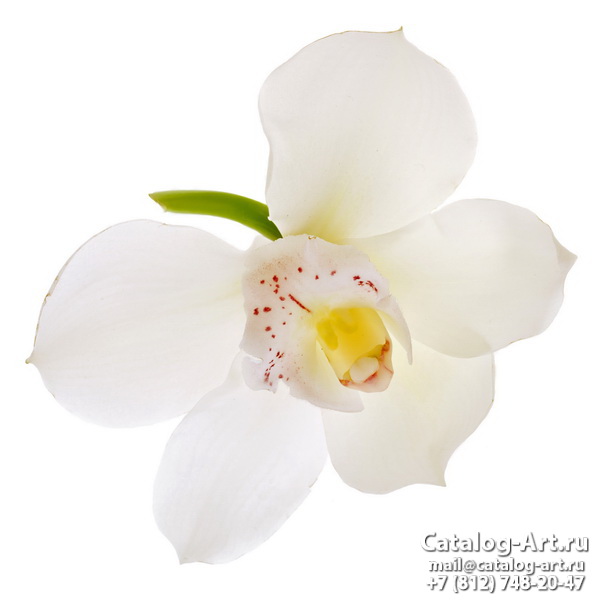 Натяжные потолки с фотопечатью - Белые орхидеи 39